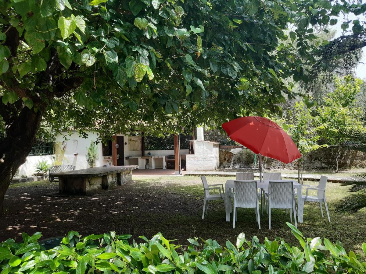 Villa Livia Villammare Exterior foto